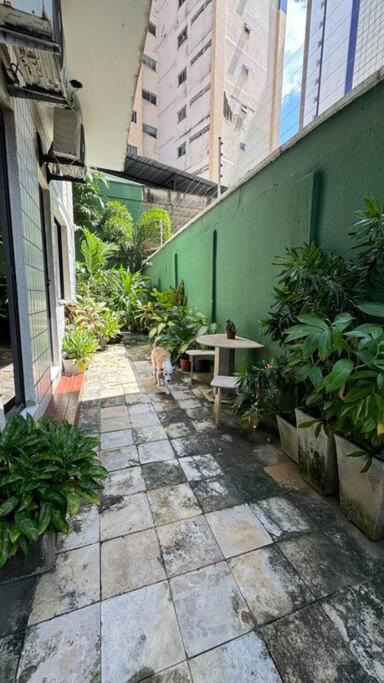Apartamento Jardim Iracema Fortaleza  Exterior foto
